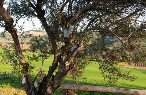 Casa Pace e Gioia - Foto 40