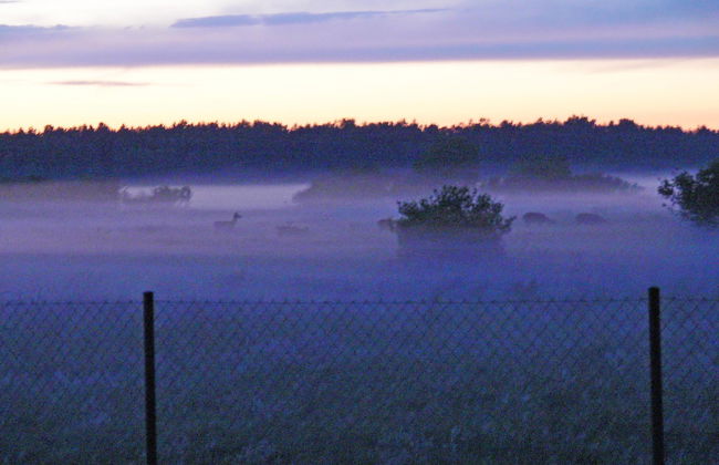 Zakątek Ventus II - Foto 12