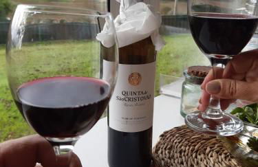 Quintal do Freixo - Country House - Photo 39