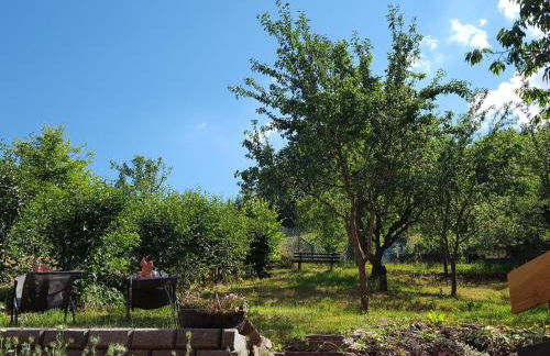 Charmantes Ferienhaus mit Naturgarten - Foto 38