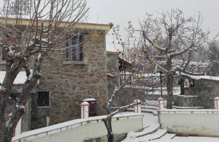 Litheon House - Photo 22