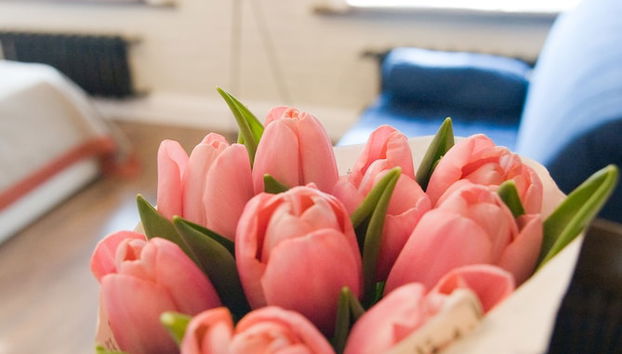 Emigrants on Fontanka - Foto 5, Habitación