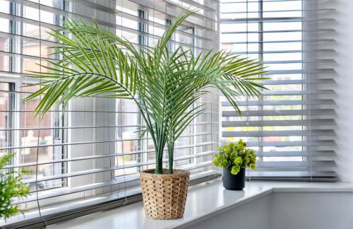 Large One Bedroom Apartments Southsea Sleeps 3 - Free Parking - Foto 41