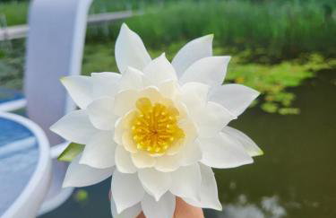 Lakefront Cabin with Loft and Bar - Foto 5