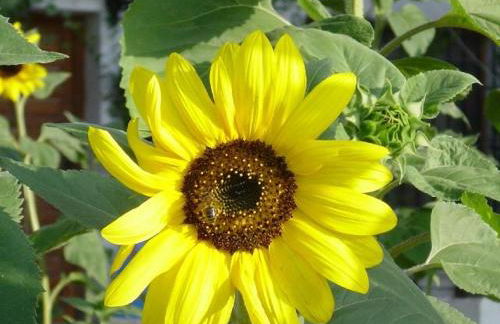 Sierra Verde Polop - Foto 17