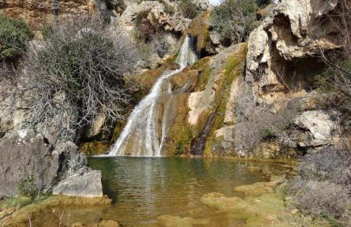 Apartments Smilje i Maslina - Photo 35