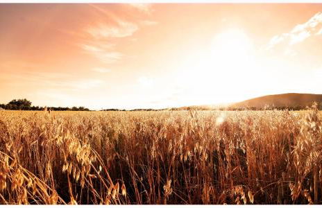 Casa Rural Els Pins - Foto 20