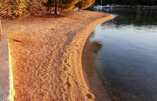 Oleander adria - Foto 32