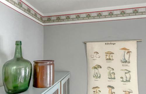 traumHaff denkmalgeschützter Amalienhof Sauna, offener Kamin, Hund - Foto 15