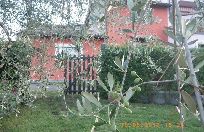 Red House/casa Rossa - Near Civita Di Bagnoregio - Foto 50