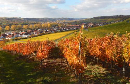 Ferienwohnung Mainidylle - Foto 32