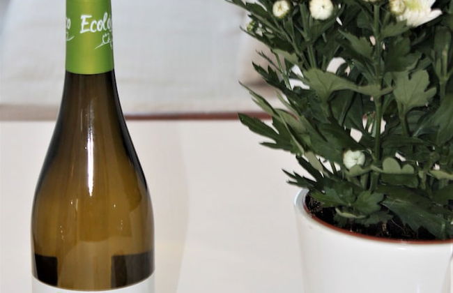 Ronda 4 Tierra del Mar Mediterraneo - Foto 36