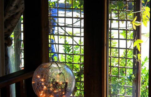 The Nest - Thatched seaside country cottage for two - Foto 29