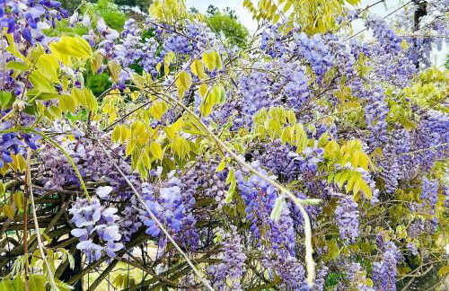 Residenza Bertolini - Foto 56