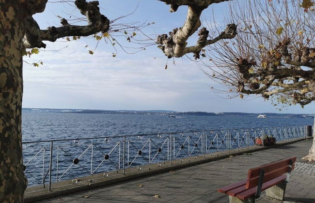 Alte Molke - Foto 40