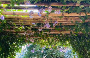 RECANTO FLORES DA MONTANHA- via fácil ASFALTO, VISTA das Montanhas - Foto 23