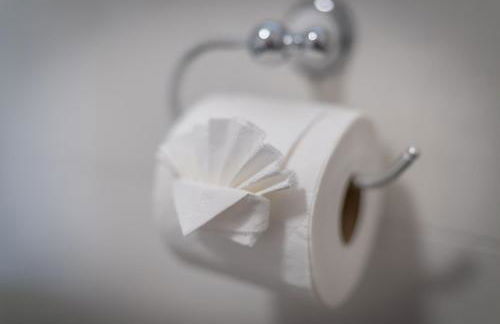 Bwthyn-Plas-Hafod - Photo 26