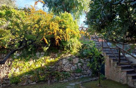 Dream House - sea view & garden - pool - private box - Foto 32