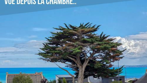 La Flibuste, Vue Mer, Plage à Pied & Parking - Foto 2