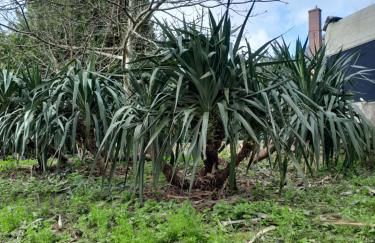 Hôtel des arts - Gîte Bande Dessinée dans le Perche - Foto 12