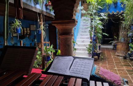 El patio azul Bohemio Mágico - Foto 38