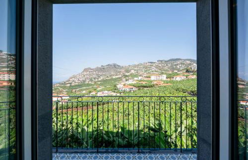 Quinta da Saraiva - Foto 16