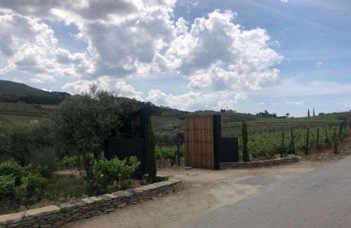 Quinta dos Piscos - Foto 19