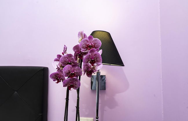 Imperium Suite Navona - Foto 47