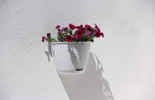 Casa Berenice - Photo 32