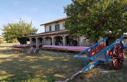 La Fattoria - Foto 13