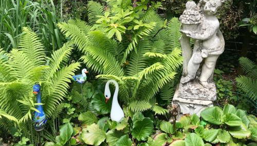 Ferienwohnungen Birkenhof Apartments - Foto 5