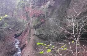 Ferienwohnung-malanders - Foto 29