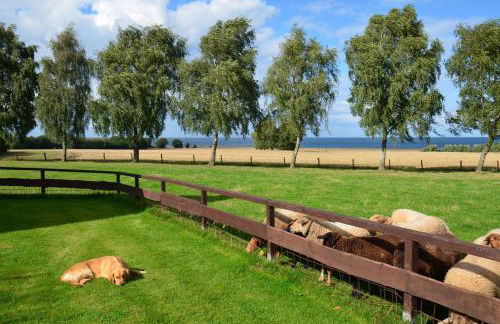 Meerblick Hohenfelde - Foto 19