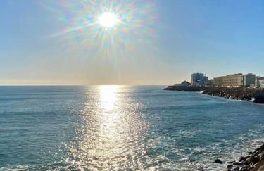 Residencia Lucia - Photo 46