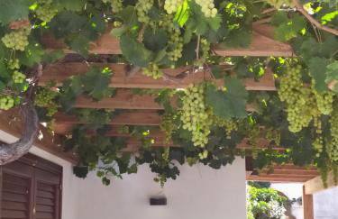 Brezza di Stagnone - Photo 21