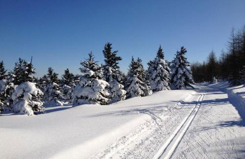 Erzgebirgsferien - Foto 32