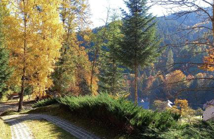 Domek w Jałowcach - Foto 16