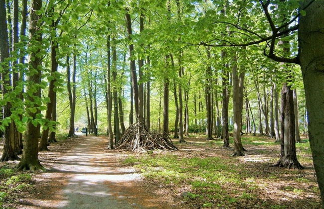 "La Mer" Haus Windrose - Photo 12