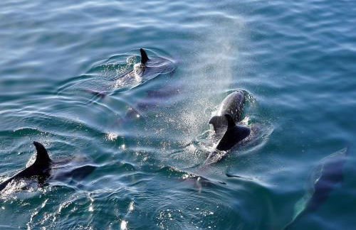 House Full of Charm With Garden,10min From the Pointe du Raz - Foto 74