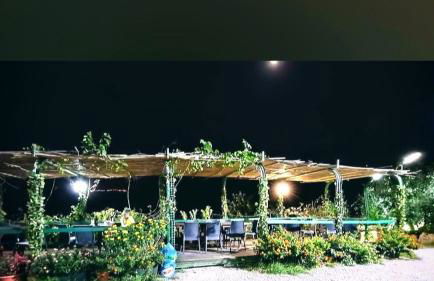 Villaggio dei Balocchi - Foto 6