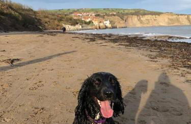 Roccos Retreat - Foto 15