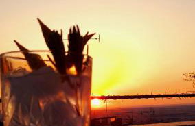 Il Campanile - Foto 6