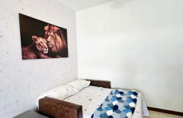 Apartamento Inteiro Forte Verde perto da praia bairro Braga Vila Nova - Photo 7