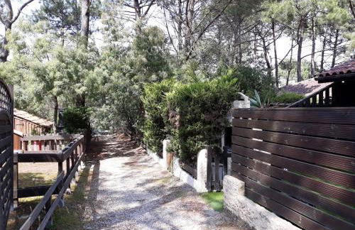 pavillon cozy dans la pinède - 2 chambres- 4 personnes - Foto 32