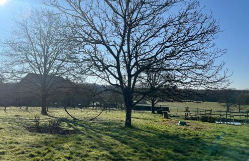 Mare aux nénuphars - Foto 19