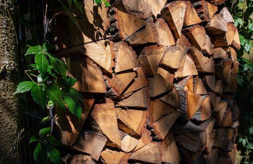 Całoroczny dom wakacyjny - Foto 32