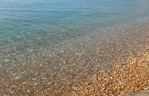 Las tres palmeras - Foto 7