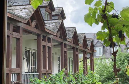 Moselbleibe Mainzer - Foto 5