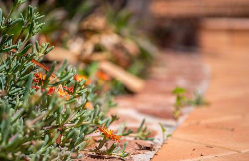 2263 Sunny holiday home with views over the bay of Palma - Foto 15