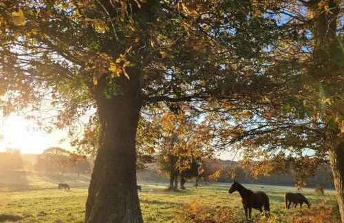 La Maison en Brocéliande - Foto 31